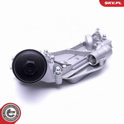 RADIATOR ULEI ULEI MOTOR ESEN SKV 31SKV177 1