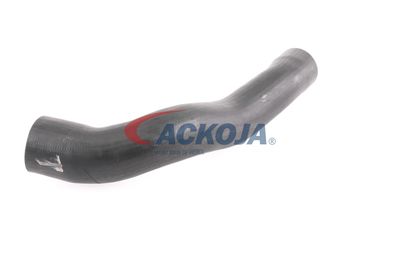 FURTUN EAR SUPRAALIMENTARE ACKOJA A379600 30