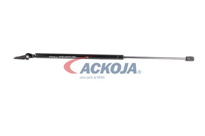 AMORTIZOR PORTBAGAJ ACKOJA A520066 11