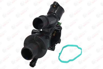 FLANSA LICHID RACIRE BIRTH 8889 5