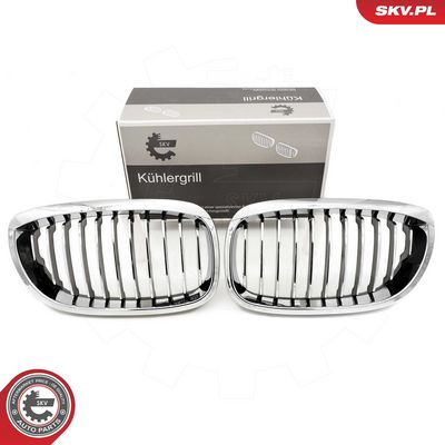 GRILA RADIATOR ESEN SKV 66SKV070 9