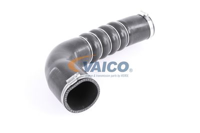 FURTUN EAR SUPRAALIMENTARE VAICO V103794 54