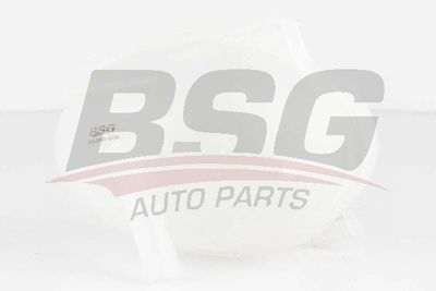 Компенсационный бак, охлаждающая жидкость BSG BSG 90-550-009 для VW POLO
