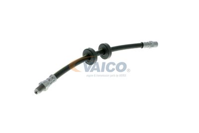 FURTUN FRANA VAICO V101043 53