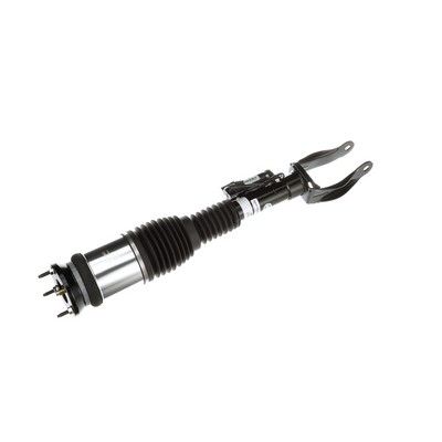 BRAT ARC PNEUMATIC Arnott AS3153 74