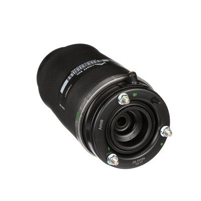 LUFTFEDER FAHRWERK Arnott A2934 44