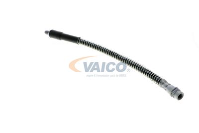 FURTUN FRANA VAICO V464113 17