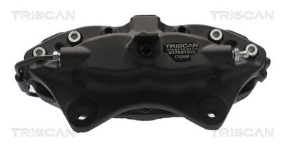 спирачен апарат TRISCAN 8175 81203