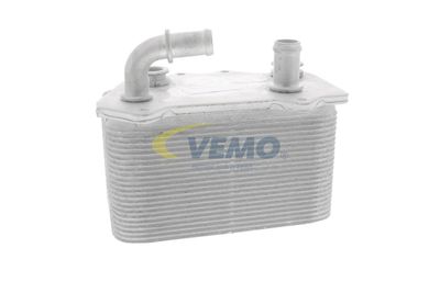 RADIATOR ULEI ULEI MOTOR VEMO V45600007 49