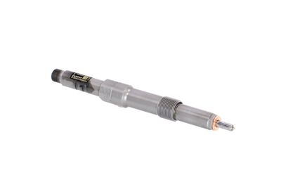 INJECTOR REMANTE 002003000046R 48