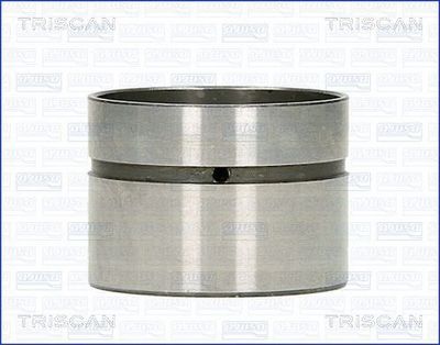 TRISCAN 80-11000 Гідрокомпенсатори для ROVER (Ровер)