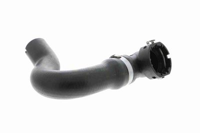 FURTUN RADIATOR VAICO V240869 1