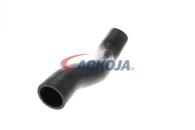 FURTUN EAR SUPRAALIMENTARE ACKOJA A389605 50