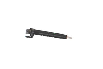 INJECTOR REMANTE 002003002289R 42