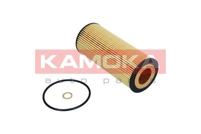 Oil Filter F106101