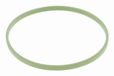 ETANșARE CARCASă CLAPETă