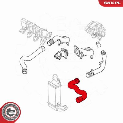FURTUN EAR SUPRAALIMENTARE ESEN SKV 43SKV030 3