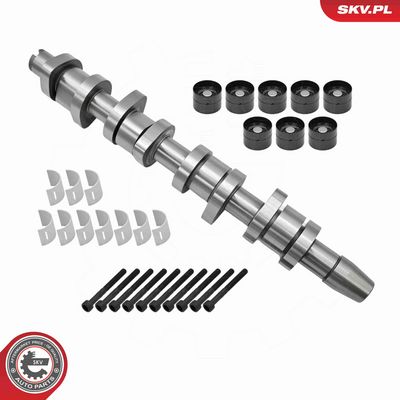 SET AX CU CAME ESEN SKV 80SKV303 1