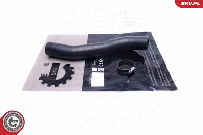 FURTUN EAR SUPRAALIMENTARE