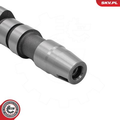 AX CU CAME ESEN SKV 80SKV081 4