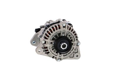 GENERATOR / ALTERNATOR REMANTE 011003000175R 49
