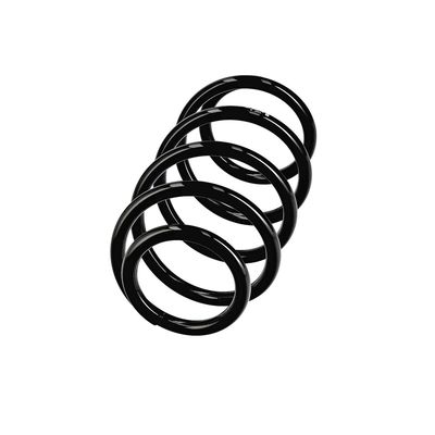 ARC SPIRAL EIBACH R11005 14