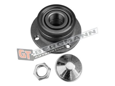 GT-BERGMANN Automotive Rato guolio komplektas