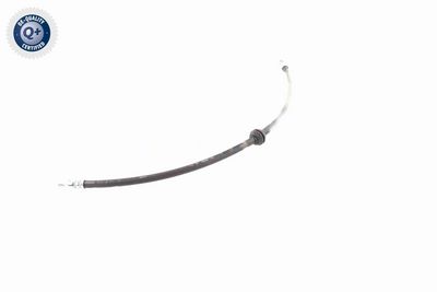 FURTUN FRANA VAICO V204119 4