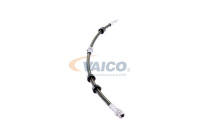 FURTUN FRANA VAICO V101320 39