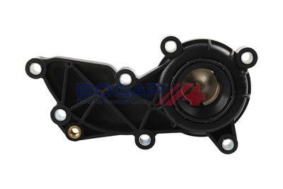TERMOSTAT LICHID RACIRE BOGAP A4245145 2