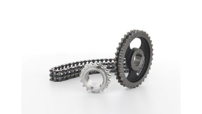 STEUERKETTENSATZ SKF VKML81008 24