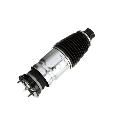 LUFTFEDERBEIN Arnott AS3380 73