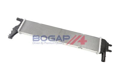BOGAP Radiatorius, variklio aušinimas