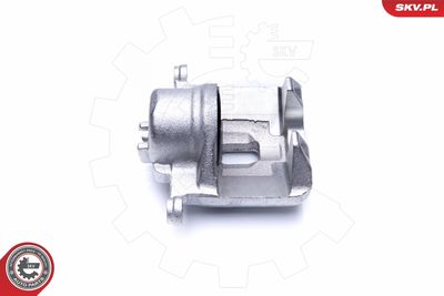 Brake Caliper 44SKV991