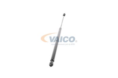 GASFEDER KOFFER-/LADERAUM VAICO V520030 50