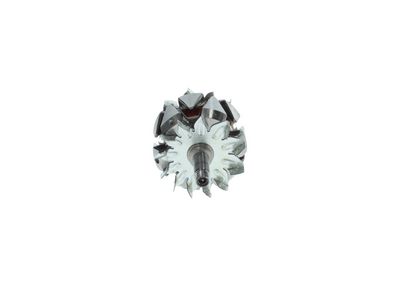 Dynamo rotor (80A)