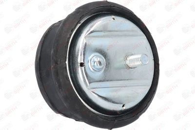 SUPORT MOTOR BIRTH 50123 2