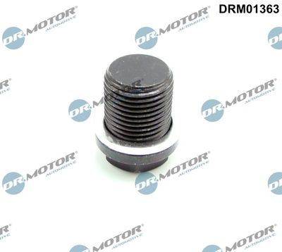 Screw Plug, oil sump DRM01363