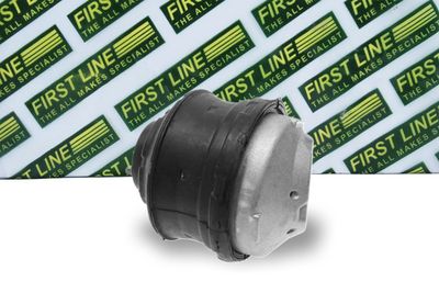 окачване, двигател FIRST LINE FEM3287