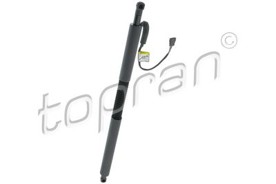 galinių durų elektros variklis 504842 TOPRAN