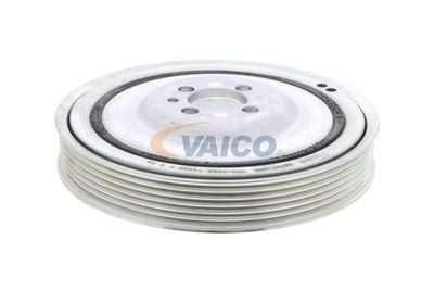 SET FULIE ARBORE COTIT VAICO V240865 24