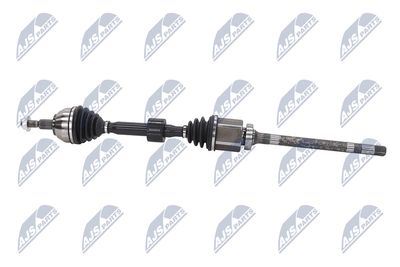 PLANETARA NTY NPWFR107 25