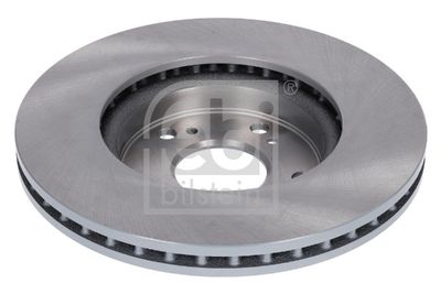 Brake Disc 31303