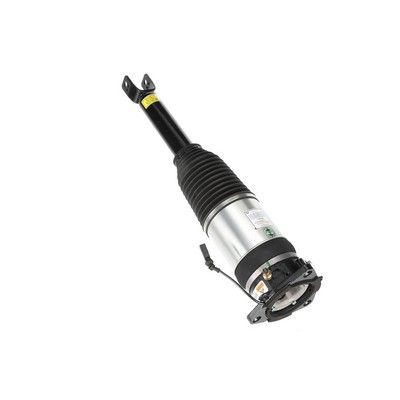 LUFTFEDERBEIN Arnott AS2969 68