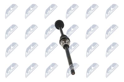 PLANETARA NTY NPWPE124 33