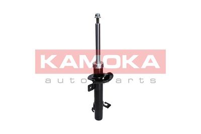 Shock Absorber 2000253