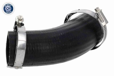 FURTUN EAR SUPRAALIMENTARE ACKOJA A520878 1