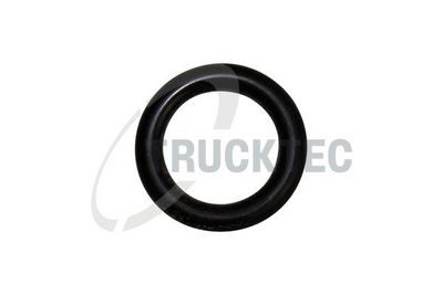 GARNITURA RACORD ADMISIE COMBUSTIBIL