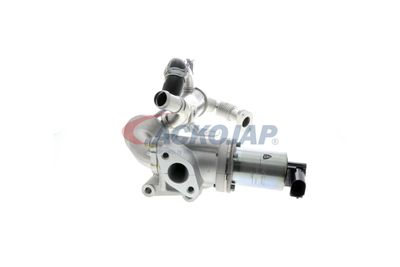 MODUL-EGR ACKOJA A52630018 50