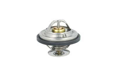 TERMOSTAT LICHID RACIRE NRF 725478 42